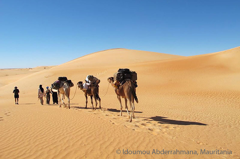 Wüsteneisenbahn in Mauretanien