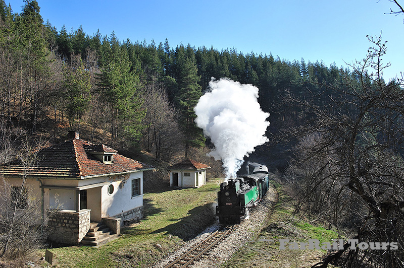 BDZ - Narrow Gauge Steam in Bulgaria 609.76