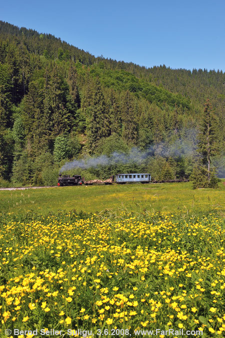 Waldbahn Viseu de Sus, Suligu