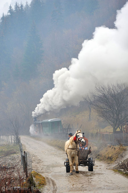 Dampf auf Schmalspurstrecken in Rumänien